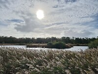 Heel even de zon tussen de buien door