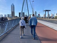Met Ali over de zwaan