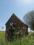 Pimpelmes muurschildering