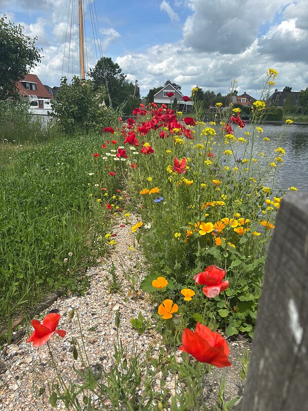 Ondertussen thuis in Warten