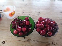 Kersen plukken met de Eclusier bij sluis 16