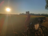 L'eclips in het maisveld