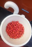 Rozenbottels uit Niderviller