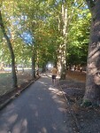 Vaste route door het Parc de la Pépinière, kortweg 'La Pep'