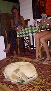 Kaartspel met hond