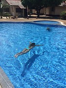 Zwembad best resort