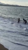 Dag 15: Jessa Op bodyboard deel 2