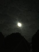Volle maan