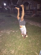 Didi kopstand
