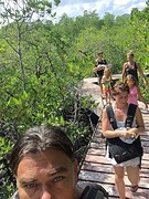 Mangrove onderweg