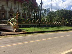 Onderweg tempel draak