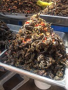 Insecten eten ?