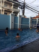 Volleybal