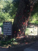 Killing fields baby tree