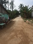 mekong delta street