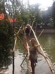 bamboe brug 2