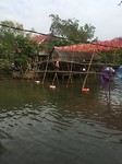 bamboe brug