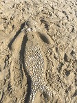 Strand 3