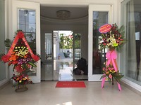 Palmy villa opening