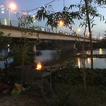 Biaaah by night