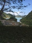 Cat ba view