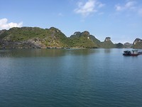 Cat ba view