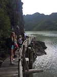 Cat ba wooden bridge