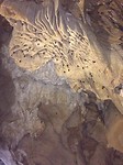 Cat ba bat cave