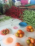 IMG_1539