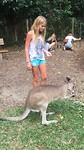 Joli kangoeroe