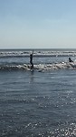 Joli Surf