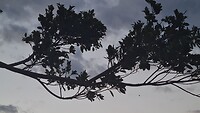 20240803_183132
