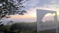 Guanshan Sunset