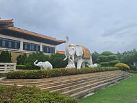 20240809_141006