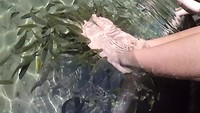 GOPR2928_1536057211819_high