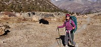 3800 m
