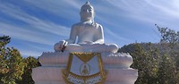 Buddha