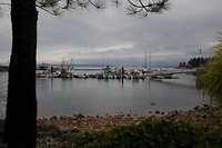 CAN_7931