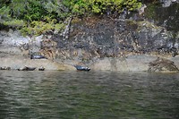 CAN_8035