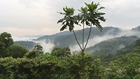 Lodge with a view
