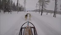 Husky ride test
