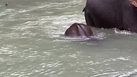 Lekker spelen in het water