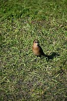 62_Everglades Holiday Park