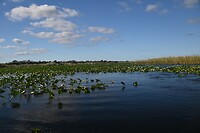 85_Everglades Holiday Park