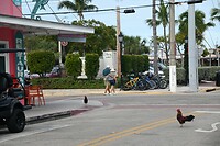 163_Key West