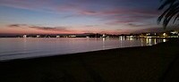 Roses - sunset