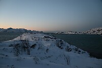 Polar Nights