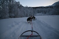 onderweg in het winterwonderland