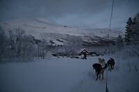 onderweg in het winterwonderland