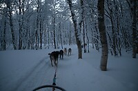 onderweg in het winterwonderland